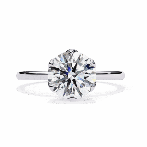 2 Carat Round Cut Eternal Solitaire Band