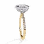 2.5 Carat Princess Cut Solitaire in Hidden Halo - Image 6