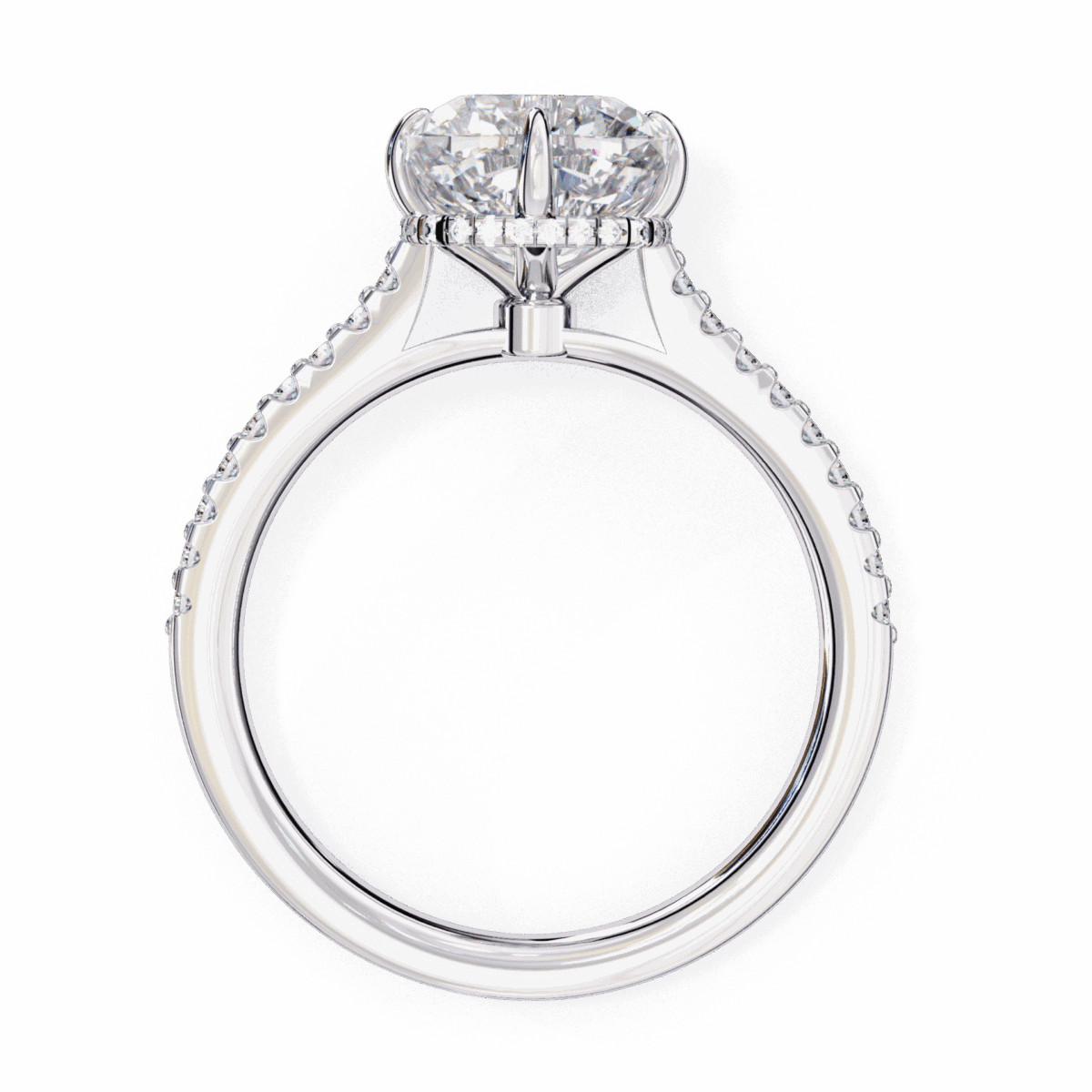 3.5 Carat Cushion Cut Solitaire in Hidden Halo  Image 3