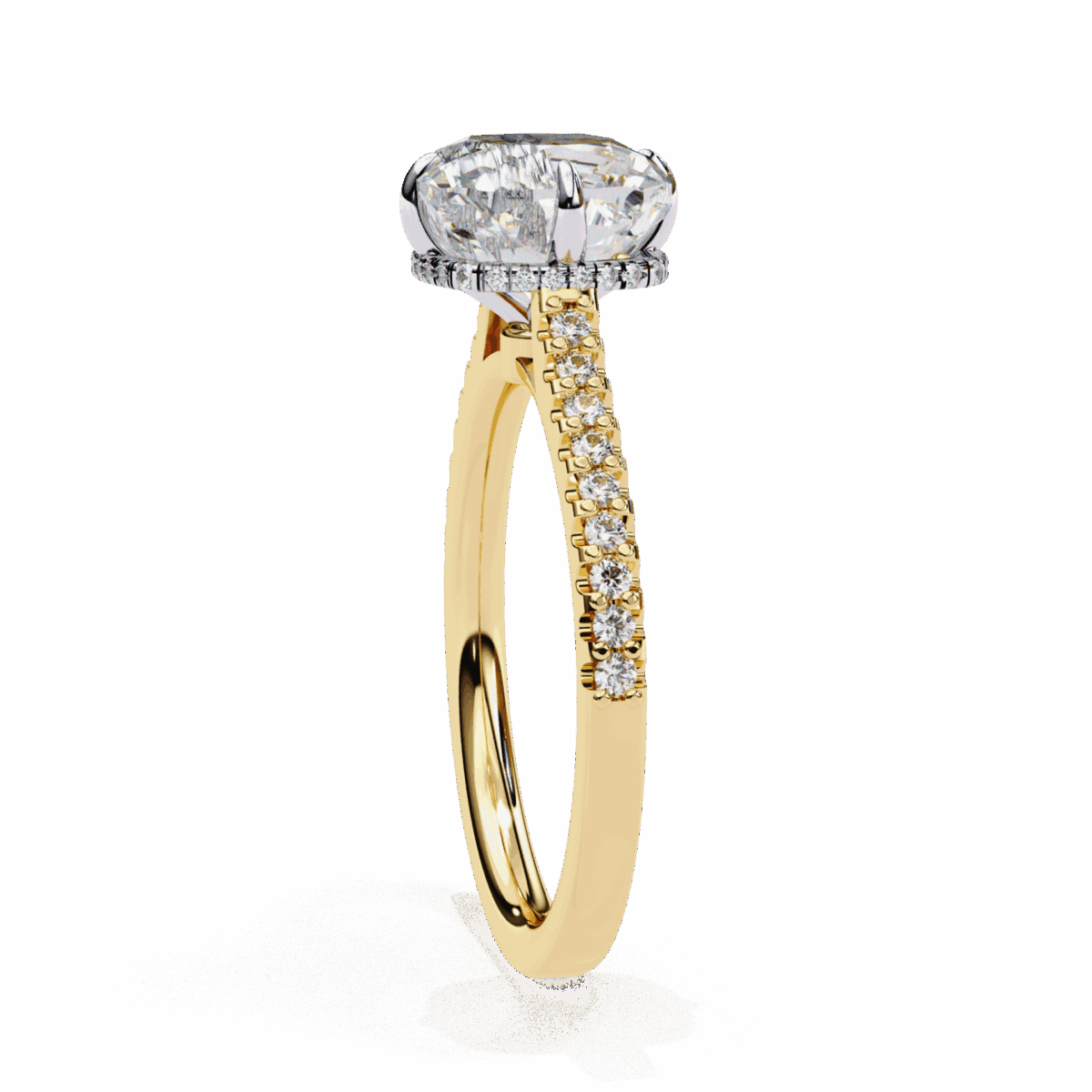 3.5 Carat Cushion Cut Solitaire in Hidden Halo  Image 6