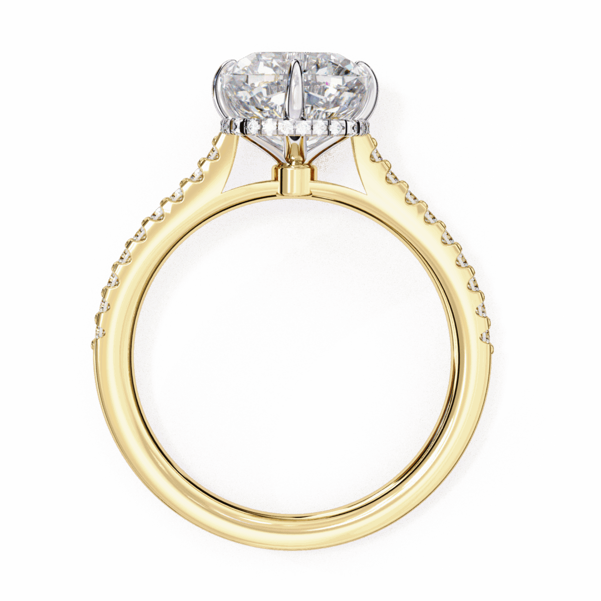 3.5 Carat Cushion Cut Solitaire in Hidden Halo  Image 7