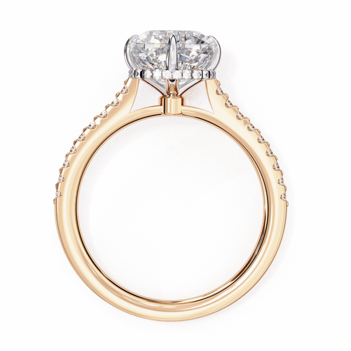 3.5 Carat Cushion Cut Solitaire in Hidden Halo  Image 11
