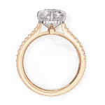 3.5 Carat Cushion Cut Solitaire in Hidden Halo - Image 11