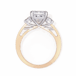 3.25 Carat Princess Cut Solitaire in Three Stone Setting - Image 8