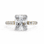 3.5 Carat Emerald Cut Solitaire in Halo Setting - Image 5