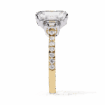 5.25 Carat Emerald Cut Solitaire in Three Stone Setting - Image 6