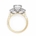 5.25 Carat Emerald Cut Solitaire in Three Stone Setting - Image 7