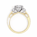 3.25 Carat Princess Cut in Three Stone Solitaire Setting - Image 7