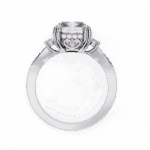 4 Carat Radiant Cut Solitaire in Three Stone Setting - Image 3