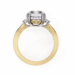 4 Carat Radiant Cut Solitaire in Three Stone Setting - Image 7
