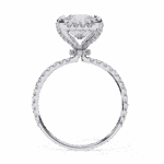 2.5 Carat Princess Cut Solitaire in Halo Setting - Image 3