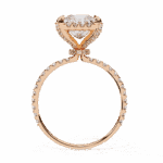 2.5 Carat Princess Cut Solitaire in Halo Setting - Image 11