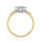 1 Carat Princess Cut Refined Everyday Look - Image 6